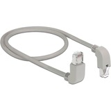 DeLOCK 85870 cavo di rete Grigio 0,5 m Cat6a S/FTP (S-STP) grigio, 0,5 m, Cat6a, S/FTP (S-STP), RJ-45, RJ-45