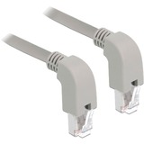 DeLOCK 85876 cavo di rete Grigio 0,5 m Cat6a S/FTP (S-STP) grigio, 0,5 m, Cat6a, S/FTP (S-STP), RJ-45, RJ-45