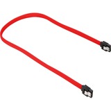 Sharkoon 0.45m, 2xSataIII cavo SATA 0,45 m SATA 7-pin Rosso rosso, 2xSataIII, 0,45 m, SATA III, SATA 7-pin, SATA 7-pin, Maschio/Maschio, Rosso