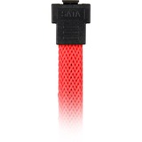 Sharkoon 0.6m, 2xSataIII cavo SATA 0,6 m SATA 7-pin Rosso rosso, 2xSataIII, 0,6 m, SATA III, SATA 7-pin, SATA 7-pin, Maschio/Maschio, Rosso