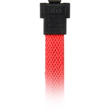 Sharkoon 0.6m, 2xSataIII cavo SATA 0,6 m SATA 7-pin Rosso rosso, 2xSataIII, 0,6 m, SATA III, SATA 7-pin, SATA 7-pin, Maschio/Maschio, Rosso