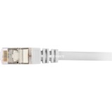 Sharkoon 4044951015115 cavo di rete Grigio 2 m Cat6 S/FTP (S-STP) grigio, 2 m, Cat6, S/FTP (S-STP), RJ-45, RJ-45