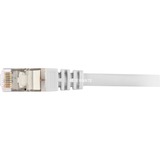 Sharkoon 4044951015115 cavo di rete Grigio 2 m Cat6 S/FTP (S-STP) grigio, 2 m, Cat6, S/FTP (S-STP), RJ-45, RJ-45