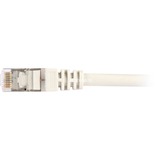 Sharkoon CAT.6 Network Cable RJ45 grey 0.5 m cavo di rete Grigio 0,5 m Cat6 grigio, 0,5 m, Cat6, RJ-45, RJ-45