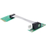 DeLOCK 41370 slot di espansione, Scheda di montaggio Mini PCI Express, PCI Express x1, 0,13 m, Multicolore