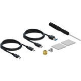 DeLOCK 42620 contenitore di unità di archiviazione Box esterno SSD Blu M.2 trasparente, Box esterno SSD, M.2, M.2, 10 Gbit/s, Collegamento del dispositivo USB, Blu