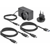 DeLOCK 42623 contenitore di unità di archiviazione Box esterno HDD/SSD Trasparente 2.5/3.5", Disk enclosure trasparente, Box esterno HDD/SSD, 2.5/3.5", Serial ATA III, Hot-swap, Collegamento del dispositivo USB, Trasparente