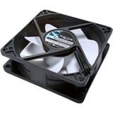 Fractal Design Silent Series R3 80 mm Case per computer Ventilatore 8 cm Nero, Bianco Ventilatore, 8 cm, 1600 Giri/min, 18,1 dB, 20,2 pdc/min, Nero, Bianco