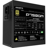 GIGABYTE P750GM alimentatore per computer 750 W 20+4 pin ATX ATX Nero Nero, 750 W, 100 - 240 V, 50/60 Hz, 12-6 A, Attivo, 16 ms