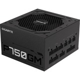 GIGABYTE P750GM alimentatore per computer 750 W 20+4 pin ATX ATX Nero Nero, 750 W, 100 - 240 V, 50/60 Hz, 12-6 A, Attivo, 16 ms