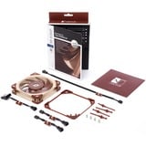 Noctua NF-A12X25 FLX sistema di raffreddamento per computer Universale Ventilatore 12 cm Beige, Marrone 1 pz Ventilatore, 12 cm, 1350 Giri/min, 2000 Giri/min, 22,6 dB, 102,1 m³/h