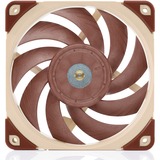 Noctua NF-A12X25 PWM sistema di raffreddamento per computer Case per computer Ventilatore 12 cm Marrone Ventilatore, 12 cm, 450 Giri/min, 2000 Giri/min, 22,6 dB, 102,1 m³/h