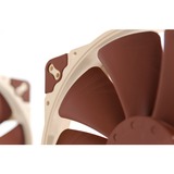 Noctua NF A20 5V PWM Case per computer Ventilatore 20 cm Beige, Rosso Ventilatore, 20 cm, 350 Giri/min, 800 Giri/min, 146,9 m³/h, Beige, Rosso