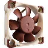 Noctua NF-A4X10-FLX sistema di raffreddamento per computer Case per computer Ventilatore 4 cm Beige, Marrone 1 pz marrone/Bianco, Ventilatore, 4 cm, 4500 Giri/min, 8,2 m³/h, Beige, Marrone