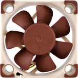 Noctua NF-A4X10-FLX sistema di raffreddamento per computer Case per computer Ventilatore 4 cm Beige, Marrone 1 pz marrone/Bianco, Ventilatore, 4 cm, 4500 Giri/min, 8,2 m³/h, Beige, Marrone