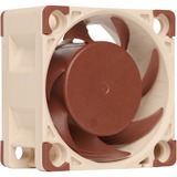 Noctua NF-A4X20 5V PWM sistema di raffreddamento per computer Case per computer Ventilatore 4 cm Ventilatore, 4 cm, 1100 Giri/min, 5000 Giri/min, 14,9 dB, 9,4 m³/h