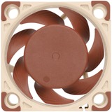 Noctua NF-A4X20 5V PWM sistema di raffreddamento per computer Case per computer Ventilatore 4 cm Ventilatore, 4 cm, 1100 Giri/min, 5000 Giri/min, 14,9 dB, 9,4 m³/h