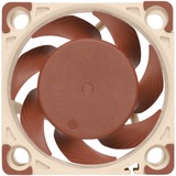 Noctua NF-A4X20 5V PWM sistema di raffreddamento per computer Case per computer Ventilatore 4 cm Ventilatore, 4 cm, 1100 Giri/min, 5000 Giri/min, 14,9 dB, 9,4 m³/h