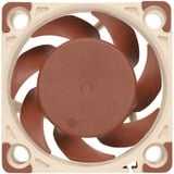 Noctua NF-A4X20 5V PWM sistema di raffreddamento per computer Case per computer Ventilatore 4 cm, Ventola Ventilatore, 4 cm, 1100 Giri/min, 5000 Giri/min, 14,9 dB, 9,4 m³/h