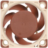 Noctua NF-A4X20 5V sistema di raffreddamento per computer Case per computer Ventilatore 4 cm Beige, Marrone Ventilatore, 4 cm, 5000 Giri/min, 14,9 dB, 9,4 m³/h, Beige, Marrone