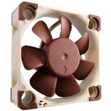 Noctua NF-A4x10 5V Case per computer Ventilatore 4 cm Beige, Marrone Ventilatore, 4 cm, 4500 Giri/min, 17,9 dB, 8,2 m³/h, Beige, Marrone