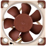 Noctua NF-A4x10 5V Case per computer Ventilatore 4 cm Beige, Marrone Ventilatore, 4 cm, 4500 Giri/min, 17,9 dB, 8,2 m³/h, Beige, Marrone