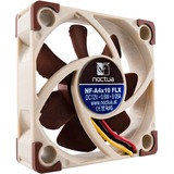 Noctua NF-A4x10 5V Case per computer Ventilatore 4 cm Beige, Marrone Ventilatore, 4 cm, 4500 Giri/min, 17,9 dB, 8,2 m³/h, Beige, Marrone