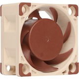 Noctua NF-A4x20 FLX Case per computer Ventilatore 4 cm Beige, Marrone Ventilatore, 4 cm, 3700 Giri/min, 5000 Giri/min, 14,9 dB, 9,4 m³/h