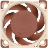 Noctua NF-A4x20 FLX Case per computer Ventilatore 4 cm Beige, Marrone, Ventola Ventilatore, 4 cm, 3700 Giri/min, 5000 Giri/min, 14,9 dB, 9,4 m³/h
