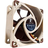 Noctua NF-A6X25 FLX sistema di raffreddamento per computer Case per computer Ventilatore 6 cm Marrone marrone/Bianco, Ventilatore, 6 cm, 1600 Giri/min, 3000 Giri/min, 19,3 dB, 29,2 m³/h