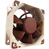 Noctua NF-A6x25 PWM Case per computer Ventilatore 6 cm Beige, Marrone Ventilatore, 6 cm, 550 Giri/min, 3000 Giri/min, 19,3 dB, 29,2 m³/h