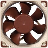 Noctua NF-A6x25 PWM Case per computer Ventilatore 6 cm Beige, Marrone, Ventola Ventilatore, 6 cm, 550 Giri/min, 3000 Giri/min, 19,3 dB, 29,2 m³/h