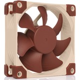 Noctua NF-A8 Case per computer Ventilatore 8 cm Beige, Marrone Ventilatore, 8 cm, 2200 Giri/min, 17,7 dB, 55,5 m³/h, Beige, Marrone