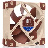 Noctua NF-A8 Case per computer Ventilatore 8 cm Beige, Marrone Ventilatore, 8 cm, 2200 Giri/min, 17,7 dB, 55,5 m³/h, Beige, Marrone