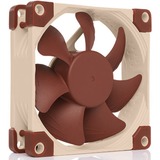 Noctua NF-A8 Case per computer Ventilatore 8 cm Beige, Marrone Ventilatore, 8 cm, 450 Giri/min, 2200 Giri/min, 17,7 dB, 55,5 m³/h