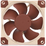 Noctua NF-A8 Case per computer Ventilatore 8 cm Beige, Marrone Ventilatore, 8 cm, 450 Giri/min, 2200 Giri/min, 17,7 dB, 55,5 m³/h