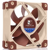 Noctua NF-A8 Case per computer Ventilatore 8 cm Beige, Marrone Ventilatore, 8 cm, 450 Giri/min, 2200 Giri/min, 17,7 dB, 55,5 m³/h