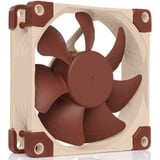 Noctua NF-A8 Case per computer Ventilatore 8 cm Beige, Marrone, Ventola Ventilatore, 8 cm, 2200 Giri/min, 17,7 dB, 55,5 m³/h, Beige, Marrone