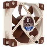 Noctua NF-A8 FLX sistema di raffreddamento per computer Case per computer Ventilatore 8 cm Beige, Marrone Ventilatore, 8 cm, 2000 Giri/min, 7,9 dB, 16,1 dB, 50,4 m³/h