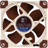 Noctua NF-A8 PWM sistema di raffreddamento per computer Case per computer Ventilatore 8 cm Beige, Marrone Ventilatore, 8 cm, 450 Giri/min, 2200 Giri/min, 17,7 dB, 55,5 m³/h