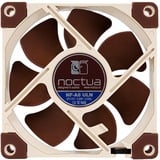 Noctua NF-A8 ULN sistema di raffreddamento per computer Case per computer Ventilatore 8 cm Beige, Marrone, Ventola Ventilatore, 8 cm, 1100 Giri/min, 1400 Giri/min, 10,4 dB, 34,8 m³/h