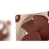 Noctua NF-A9 Case per computer Ventilatore 9 cm Beige, Marrone Ventilatore, 9 cm, 400 Giri/min, 2000 Giri/min, 22,8 dB, 78,9 m³/h