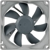 Noctua NF-B9 redux-1600 Case per computer Ventilatore 9,2 cm Nero, Grigio Ventilatore, 9,2 cm, 350 Giri/min, 1600 Giri/min, 17,6 dB, 64,3 pdc/min