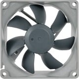 Noctua NF-B9 redux-1600 PWM Case per computer Ventilatore 9,2 cm Nero, Grigio, Ventola Ventilatore, 9,2 cm, 350 Giri/min, 1600 Giri/min, 17,6 dB, 64,3 pdc/min