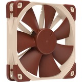 Noctua NF-F12 Case per computer Ventilatore 12 cm Beige, Marrone Ventilatore, 12 cm, 300 Giri/min, 1500 Giri/min, 22,4 dB, 93,4 m³/h