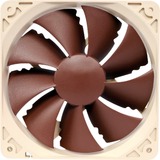 Noctua NF-P12 PWM sistema di raffreddamento per computer Case per computer Ventilatore 12 cm Marrone, Bianco 1 pz marrone, Ventilatore, 12 cm, 300 Giri/min, 1300 Giri/min, 92,3 m³/h, Marrone, Bianco, Vendita al dettaglio