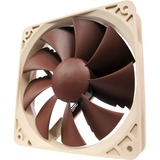 Noctua NF-P12 PWM sistema di raffreddamento per computer Case per computer Ventilatore 12 cm Marrone, Bianco 1 pz marrone, Ventilatore, 12 cm, 300 Giri/min, 1300 Giri/min, 92,3 m³/h, Marrone, Bianco, Vendita al dettaglio