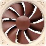 Noctua NF-P12 PWM sistema di raffreddamento per computer Case per computer Ventilatore 12 cm Marrone, Bianco 1 pz, Ventola marrone, Ventilatore, 12 cm, 300 Giri/min, 1300 Giri/min, 92,3 m³/h, Marrone, Bianco, Vendita al dettaglio