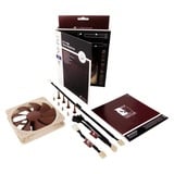 Noctua NF-P12 PWM sistema di raffreddamento per computer Case per computer Ventilatore 12 cm Marrone, Bianco 1 pz, Ventola marrone, Ventilatore, 12 cm, 300 Giri/min, 1300 Giri/min, 92,3 m³/h, Marrone, Bianco, Vendita al dettaglio