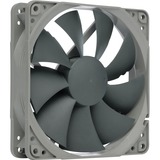 Noctua NF-P12 redux-1300 grigio